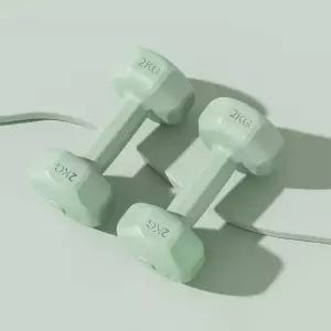 바디필 컬러 육각 덤벨 아령 2개세트(2kg) (그린) 헬스 홈트