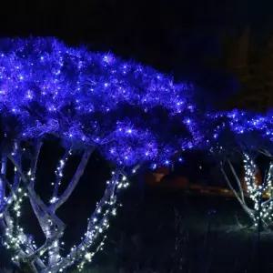 (은하수) 100구 녹색선 LED 남색 지니전구(10m) (전원잭별매) (연결가능) 장식용 인테리어 트리