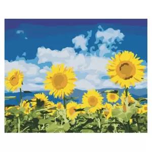 (OH) OH-M 명화 유화그리기 A-237 맑은하늘 해바라기 40x50팝아트 홈인테리어 그림그리기세트 액자만들기