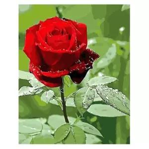 (OH) OH-M 명화 유화그리기 A-270 장미 한송이 40x50팝아트 홈인테리어 그림그리기세트 액자만들기 셀프페