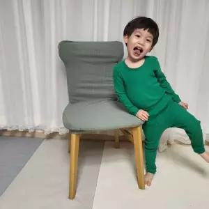 천갈이 리폼 커버 민트그린 식탁의자