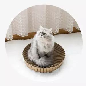 OH 해밤 스크래쳐 방석애완견 반려견 동물 애견사각 쿠션 심플 하우스 해방 고양이 강아지