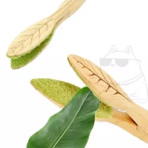 잎 청소솔 극락조 반짝거리게 세사 식물 몬스테라먼지제거 빛나게 이파리 화초 고무나무 관리