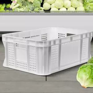 F플라스틱박스 2호 과일보관바구니 다용도야채 농산물컨테이너 상자 우유 이사 사각 손잡이 콘티 노란 대형