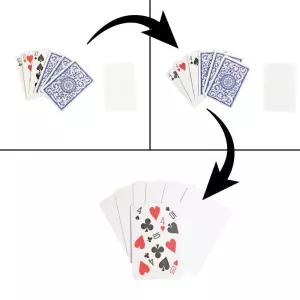 제이엘 (대만 이 선생 신상품)4와10카드 마술