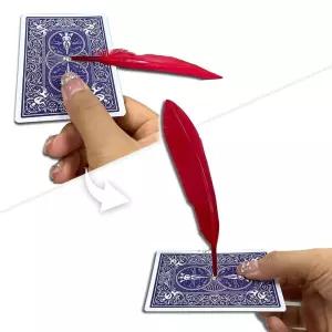 JL매직 카드 위에서 스르륵 움직이는 깃털쇼 살아있는 깃털 마술 무빙페더