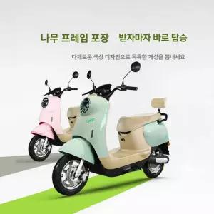 금해 전기오토바이 전기오토바이 삼륜전동터