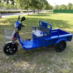 프라임 세발전기자전거 3륜 전기자전거 여성 2인용