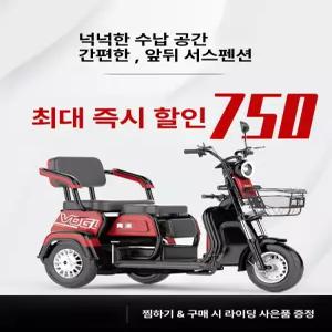 프라임 세발전기자전거 전기자전거 전기 접이식 세발