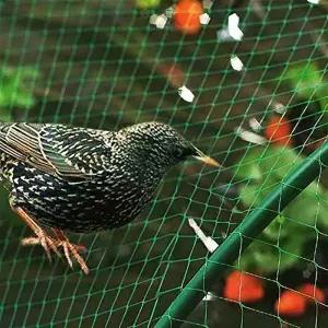 조류 방지 그물망 2x5m 농작물 보호망 참새 방조망 안전망