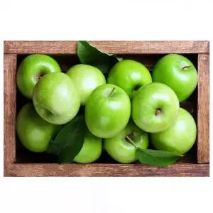 청사과 액자 60 에 40 센티