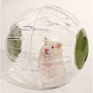 햄스터 러닝 놀이 도구 철사 가정용 대화 Pcs 러닝휠 기니피그 플라잉 운동 황금