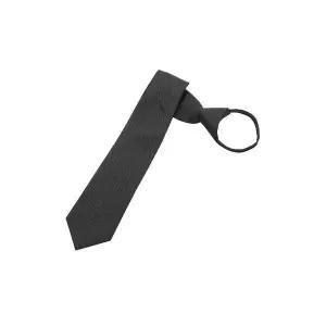 [파크랜드]그레이 솔리드 슬림 자동타이 A5NZ2310234A_P417019139