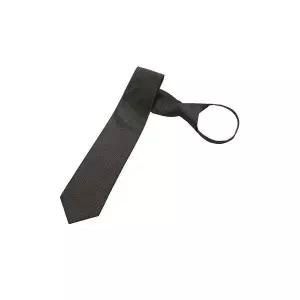 [파크랜드]브라운 솔리드 슬림 자동타이 A5NZ2310233A_P417019077