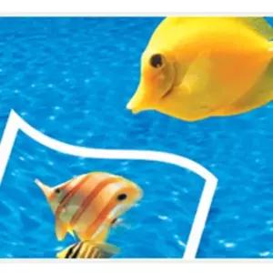 폼텍 컬러 잉크젯 전용지 A4 FP 10570 200매사진 인화지 포토 코팅지 칼라 라벨지