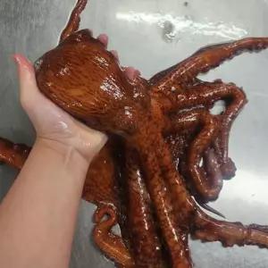 동해안 피 문어 1kg 1마리 동해 참문어 생문어 자숙문어 활피문어 자숙피문어 제사용