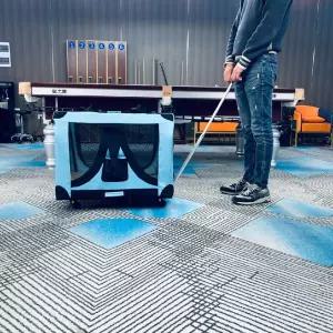 바퀴 대형견 핸드 이동 외출 손잡이 케리어 이동식 여행 컨넬 케이지 가방 켄넬 강아지