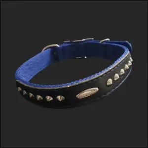 PP별목줄 개목 25mm 60cm 파랑 강아지 러프웨어 산책용품 강아지용 애견 대형견 가죽 개줄