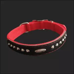 PP별목줄 개목 25mm 60cm 빨강 강아지 러프웨어 산책용품 강아지용 애견 대형견 가죽 개줄