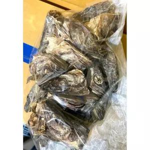 북어머리 (냉장 7통 1K)황태육수 대가리 맛있는 업소용재료 내기 국물내기