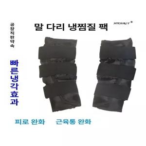 아이스팩 말 레깅스 말 쿨링 힘줄 피로 아이스풋백