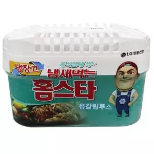 홈스타 탈취제 냉장고용 냄새 제거 방향제 420g제 전용 먹는 음식 3중 유칼립투스 고급 비치형 김치 냉장실