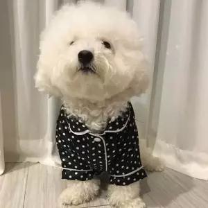 반려견 블랙 핑크 세미 유광 커플 실내복 파자마 잠옷