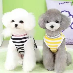 강아지 여름 부드러운 시원한 쿨 스트라이프 나시 티