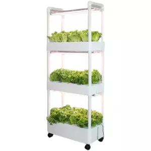 식물재배기 재배 상추 실내 채소 야채 수경 재배기 새싹 3단 가정용 키우기