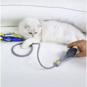 딩동펫 고양이 캣닢 장난감 물고기 인형 공기 펌프 놀이 용품