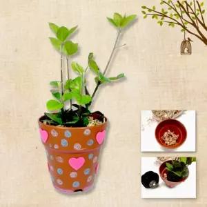 식물 심기 건조 이끼 모두 포함/작물/재배기/자연/관찰/과학/교구/원예/용품/학습/키트/어린이/초등/학생