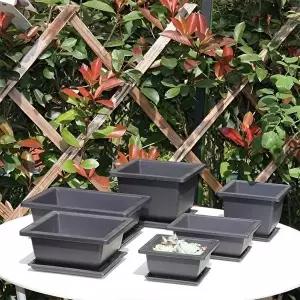 [셀러허브 생활리빙][샐코] 모던심플 다육이 미니사각 다크닉화분 1717 화분