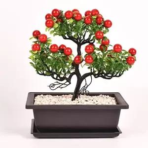 [셀러허브 생활리빙][샐코] 모던심플 다육이 미니사각 다크닉화분 1212 화분