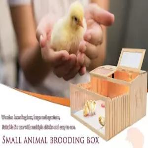 거북이사육장 육지 파충류 원목 놀이터 일반 하우스 케이지 60.80.40 패키지