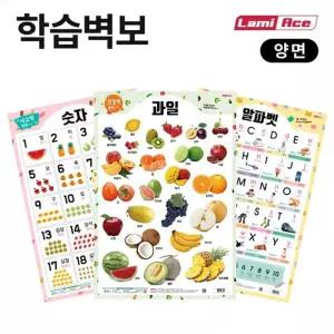 양면 학습 벽보 공룡 라미에이스/그림/포스터/병풍/어린이/인테리어