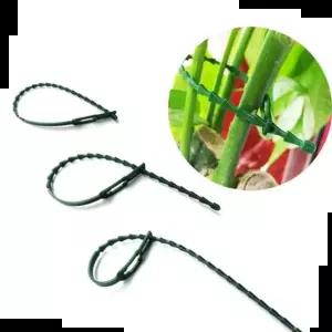 원예부자재 원예용 식물 고정끈 (고추 오이 줄기 지지대) 11cm