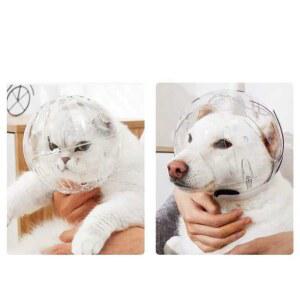 노견 헬멧 머리 강아지 뾰족한 보호 고양이 개에게 방지 발톱 물림방지 보호구 넥카라