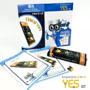 인체의비밀 뉴런의구조와기능 초등과학키트 홈스쿨링 수업준비물 실험도구 체험학습