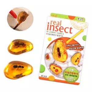 수업교재 호박 곤충 해양화석 발굴체험 과학키트 실험도구 학용품 홈스쿨링