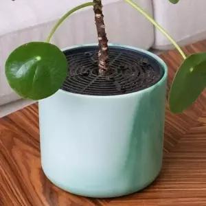 ( )화분 흙 덮개 커버 날림 방지 19cm