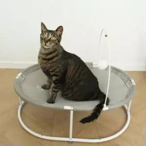 고양이소파 쇼파 꿀잠 해먹 방석 대형 침대 뚜또가또 고양이