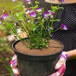 10P 소 코코넛 덮개 흙 화분 커버 DD 12418 날림방지