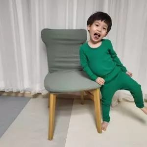 ( )식탁의자 리폼 천갈이 커버 민트 그린 자천 자리폼 덮개 의자리폼