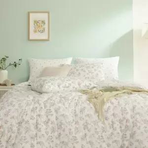 비온 60수아사면 차렵이불Q