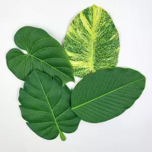 잎사귀 모양 컵받침 다이닝 테이블매트