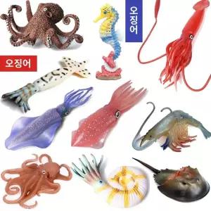 물고기 모래 동물 문어 갑오징어 오징어피규어 대왕