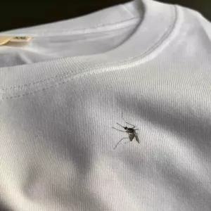 반팔 모기 웃긴 프린트 커플티 남녀 공용 티셔츠