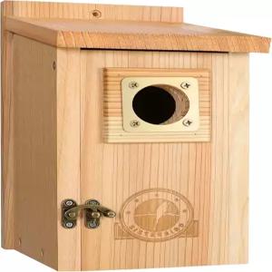 바깥을 위한 새집 파랑새집 야외를 나무 정원 장식 둥지 파랑새 핀치 스왈로우 렌 치카디