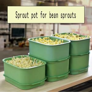 가정용 새싹 플라스틱 심기 냄비 노란 콩나물 녹두 무토양 재배 모종