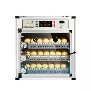 병아리 계란 곰 달걀 알 닭 부화기